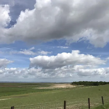 Prázdninový dům Fasanen Nest Sehestedt (Lower-Saxony)
